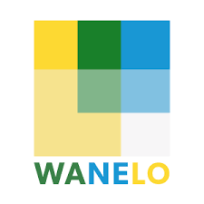 wanelo-la-pixeliere