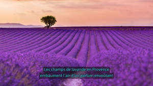 sous-titrage code couleur sme